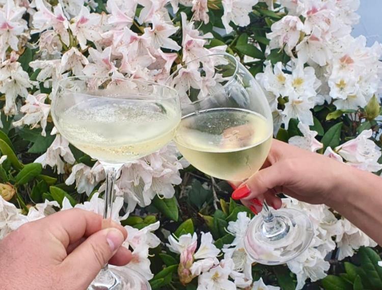 Ferienhaus Riesling Haßloch 外观 照片